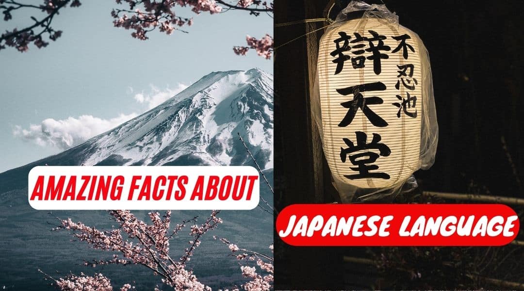facts about japanese language